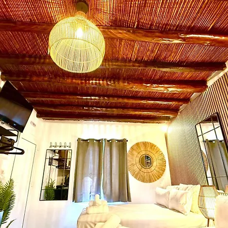 Naousaki Premium 2 * Naousa (Paros)