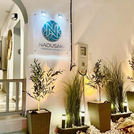 Naousaki Premium 2 *
