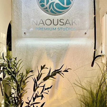 Naousaki Premium 2 * Naousa (Paros)